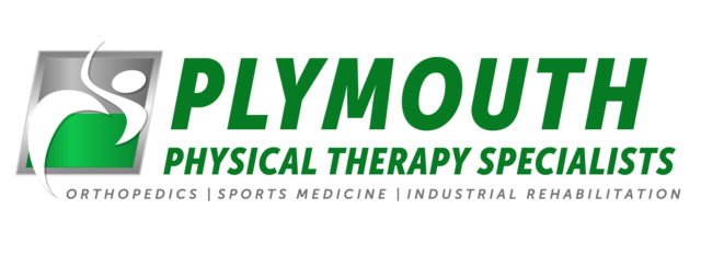 Logo Plymouth 2020 01 01
