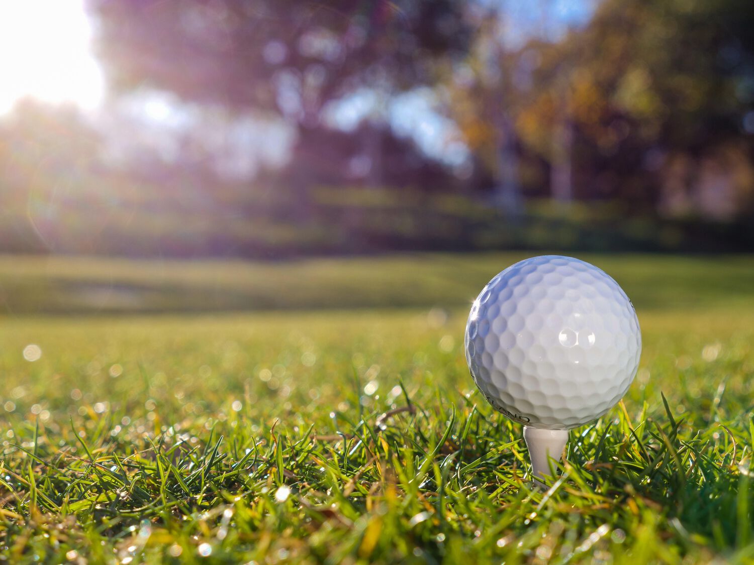 Athletes unlimited golf outing